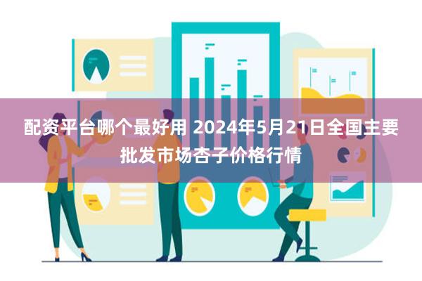 配资平台哪个最好用 2024年5月21日全国主要批发市场杏子价格行情