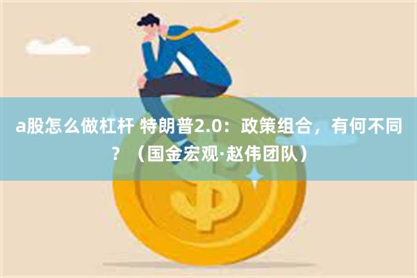 a股怎么做杠杆 特朗普2.0：政策组合，有何不同？（国金宏观·赵伟团队）