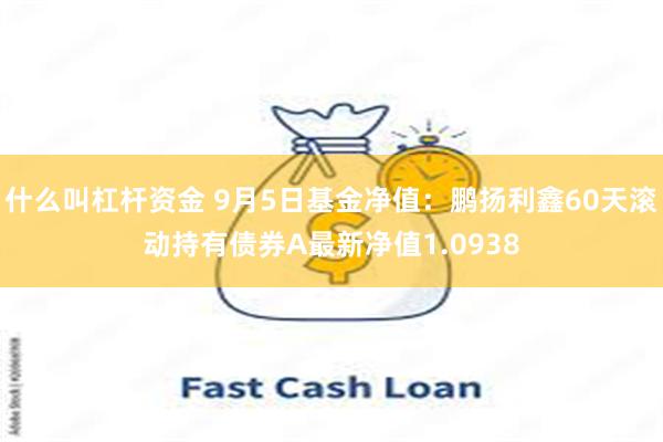 什么叫杠杆资金 9月5日基金净值：鹏扬利鑫60天滚动持有债券A最新净值1.0938