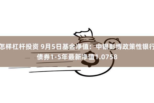 怎样杠杆投资 9月5日基金净值：中银彭博政策性银行债券1-5年最新净值1.0758