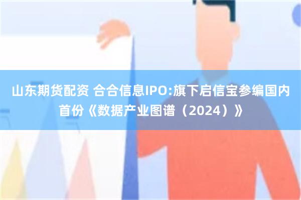 山东期货配资 合合信息IPO:旗下启信宝参编国内首份《数据产业图谱（2024）》