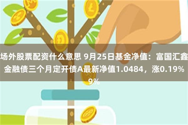 场外股票配资什么意思 9月25日基金净值：富国汇鑫金融债三个月定开债A最新净值1.0484，涨0.19%