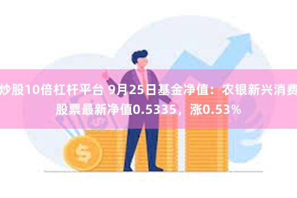 炒股10倍杠杆平台 9月25日基金净值：农银新兴消费股票最新净值0.5335，涨0.53%