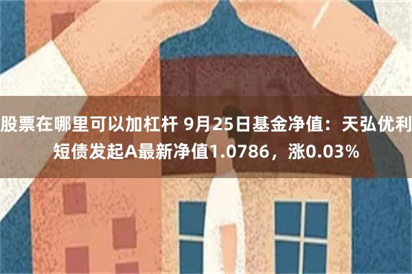 股票在哪里可以加杠杆 9月25日基金净值：天弘优利短债发起A最新净值1.0786，涨0.03%