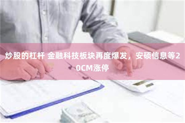 炒股的杠杆 金融科技板块再度爆发，安硕信息等20CM涨停