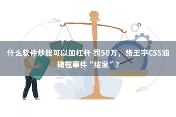 什么软件炒股可以加杠杆 罚50万，骆王宇CSS油橄榄事件“结案”？