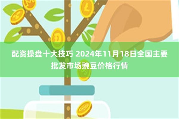 配资操盘十大技巧 2024年11月18日全国主要批发市场豌豆