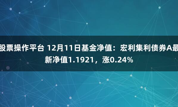 股票操作平台 12月11日基金净值：宏利集利债券A最新净值1.1921，涨0.24%