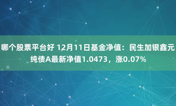 哪个股票平台好 12月11日基金净值：民生加银鑫元纯债A最新净值1.0473，涨0.07%