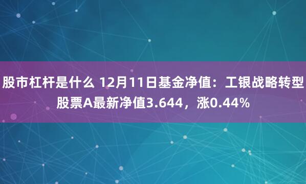 股市杠杆是什么 12月11日基金净值：工银战略转型股票A最新净值3.644，涨0.44%