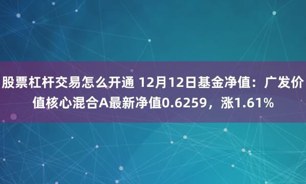 股票杠杆交易怎么开通 12月12日基金净值：广发价值核心混合A最新净值0.6259，涨1.61%