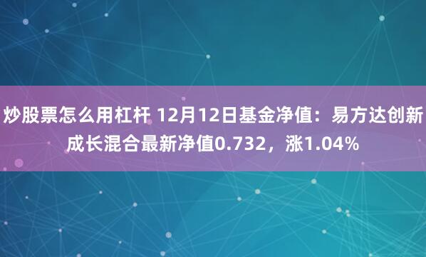 炒股票怎么用杠杆 12月12日基金净值：易方达创新成长混合最新净值0.732，涨1.04%