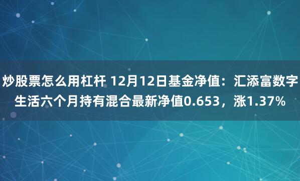 炒股票怎么用杠杆 12月12日基金净值：汇添富数字生活六个月持有混合最新净值0.653，涨1.37%