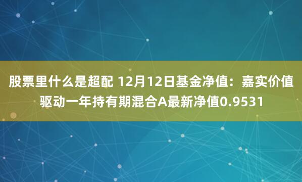 股票里什么是超配 12月12日基金净值：嘉实价值驱动一年持有期混合A最新净值0.9531