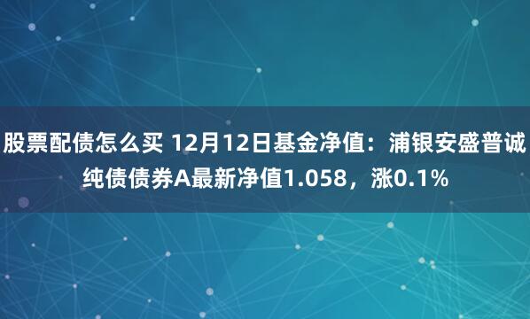 股票配债怎么买 12月12日基金净值：浦银安盛普诚纯债债券A最新净值1.058，涨0.1%