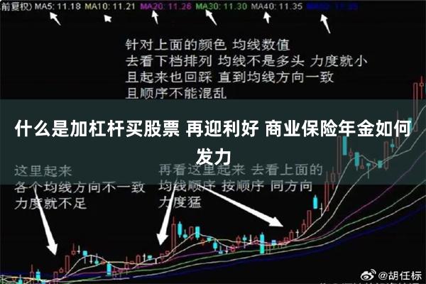 什么是加杠杆买股票 再迎利好 商业保险年金如何发力